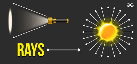 What are several examples of ray.